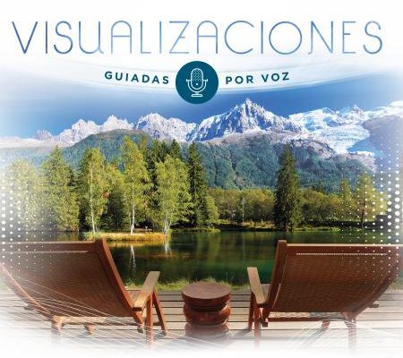 VISUALIZACIONES GUIADAS POR VOZ – MFM023